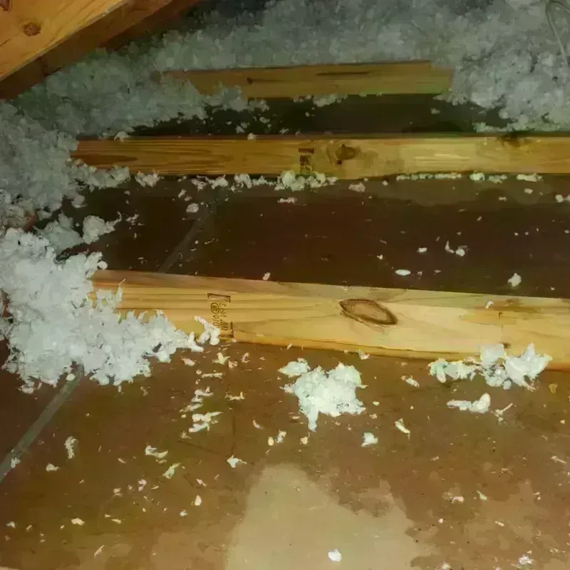 Attic Water Damage in Bourbon County, KS